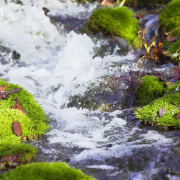Ascoltare il rumore dell'acqua ti fa sentire calmo