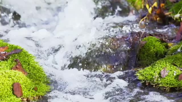 Ascoltare il rumore dell'acqua ti fa sentire calmo