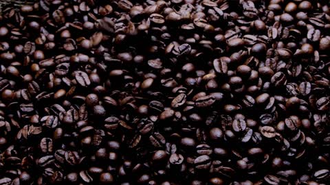 Coffee Beans, Power