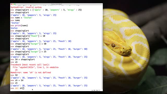 PYTHON_PRO_28.python_maps_-_methods_and_functions (1080p)