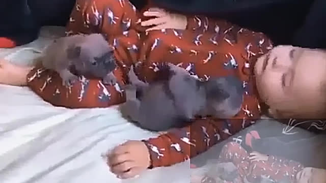 The baby is sleeping soundly