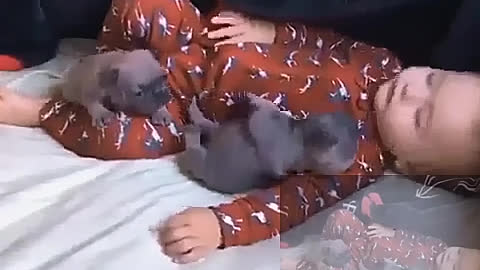 The baby is sleeping soundly