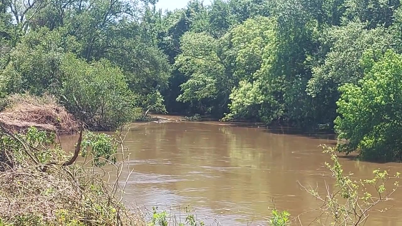 Northern Navasota River TX 5/18/24