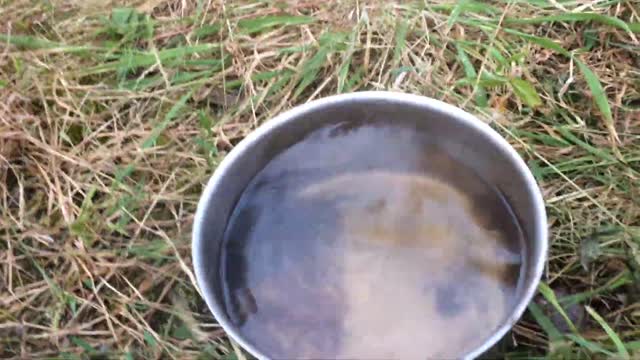 2019-07-31 - Retour des nids de guèpes dans la bagnole (V4) - VLOG - Youtube