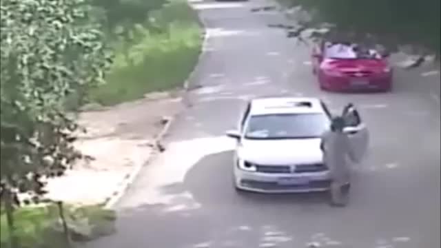 Tiger Attack a women front of her family in china