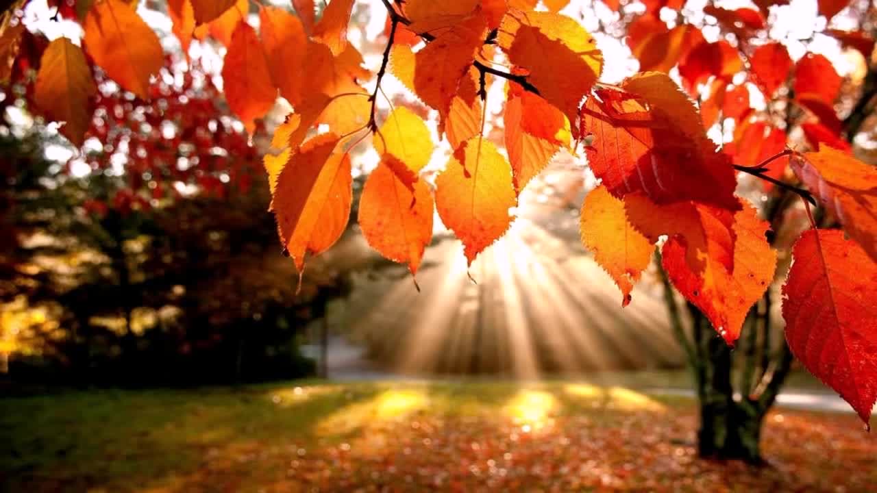 Relaxation Station Relaxing Music | Smooth Saxophone | Background for Stress Relief, Healing