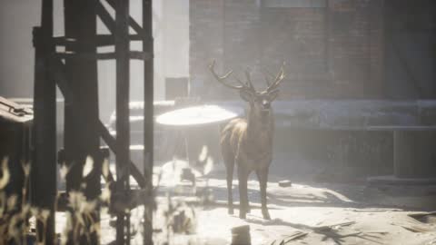 Wild deer rooming around the streets in abandoned city