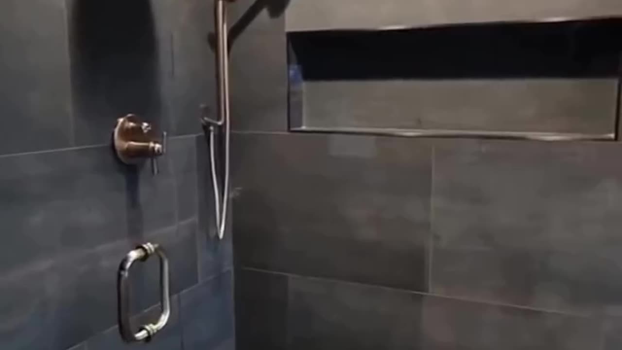 Things to avoid in bathroom (i dont own this video)