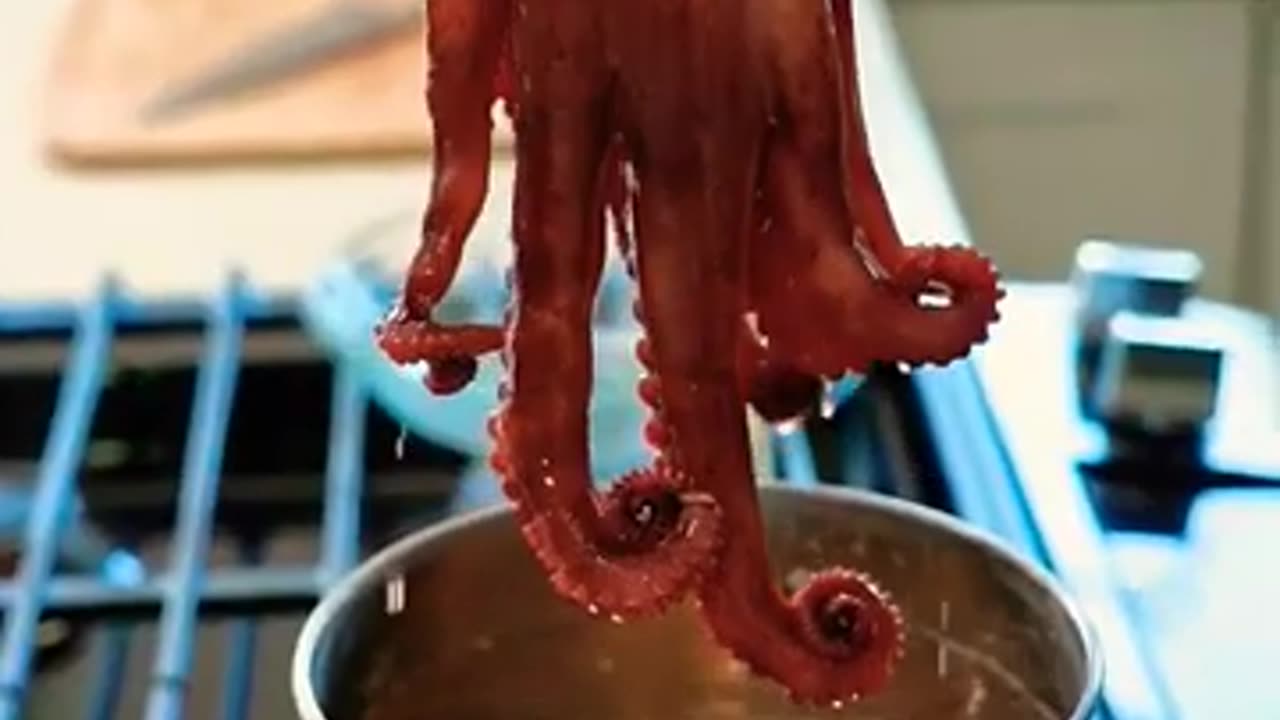 #octopus #youtube #shortsviral #shortsfeed #shortsyoutube #trending #minecraft #cooking