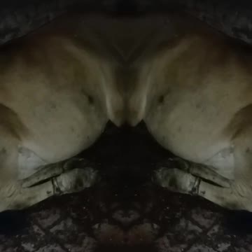 tus viral hog viral TikTok #shorts #trending #fashion #curvymodel #viral