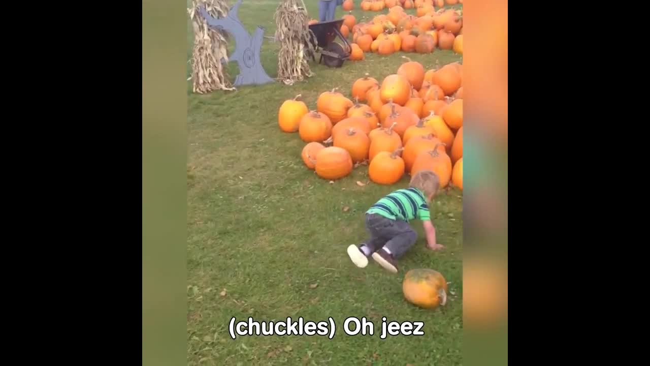 Kid collecting pumpkin and failing to take it