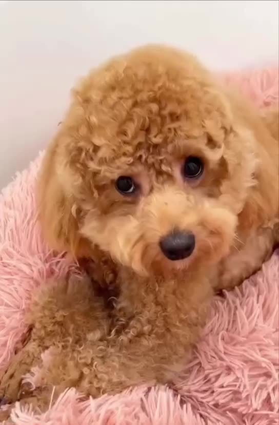 Bath time for the little one 😊