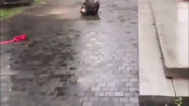 This is what a desecrated statue actually looks like