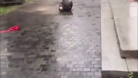 This is what a desecrated statue actually looks like