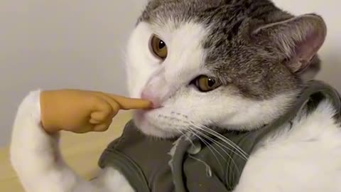 I look sophisticated 😊