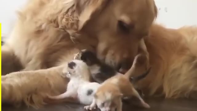 These moments are comedy 😂😂