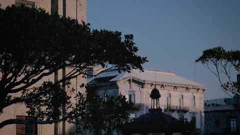 Old building with trees at dusk