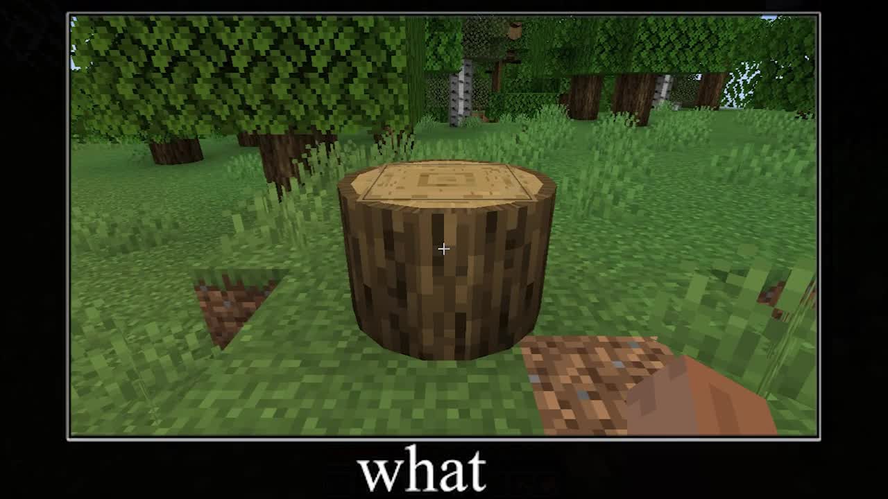 Minecrafts Memez # 1