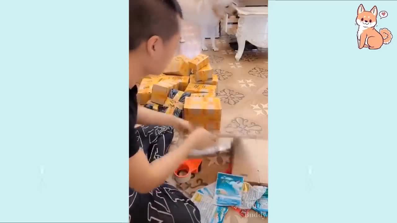 What a Cute Puppies Funny and Smart Dogs