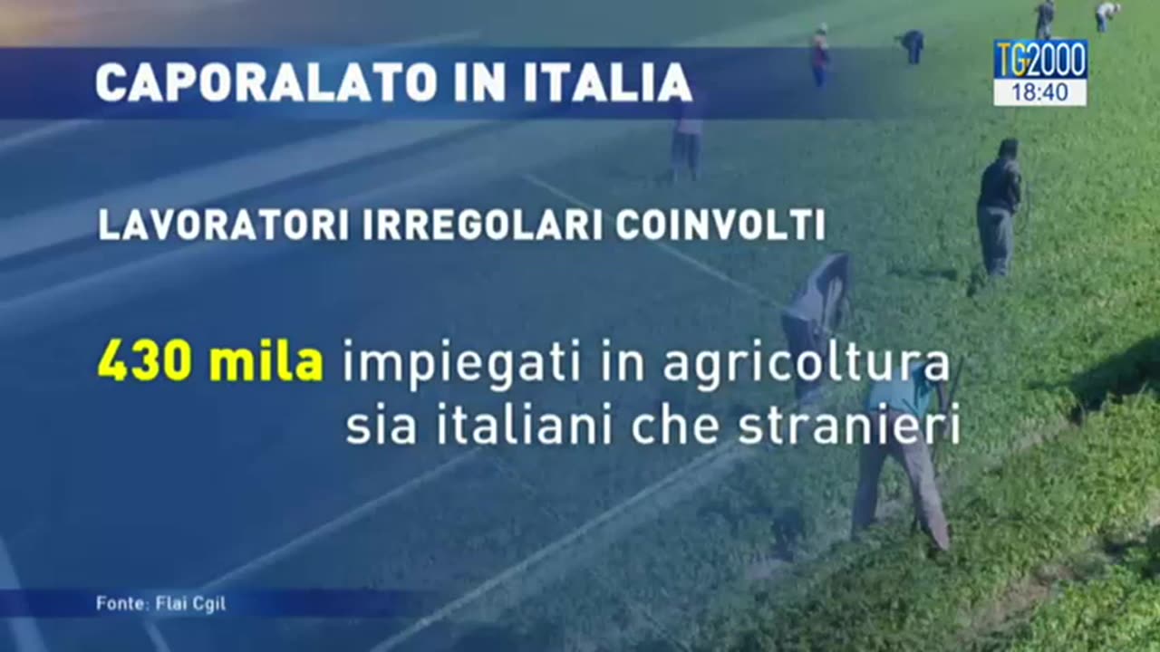 Caporalato,un fenomeno di sfruttamento molto diffuso in Italia, ecco i dati DOCUMENTARIO Quello del caporalato e dello sfruttamento in agricoltura dei lavoratori spesso stranieri è un fenomeno drammaticamente diffuso in MERDALIA💩