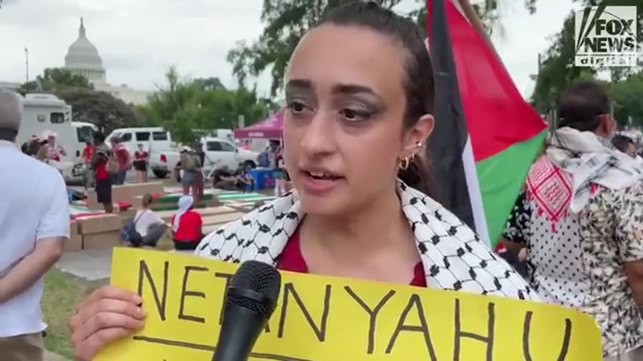 Anti-Israel protesters reveal their hopes for Gaza, feelings toward Kamala Harris
