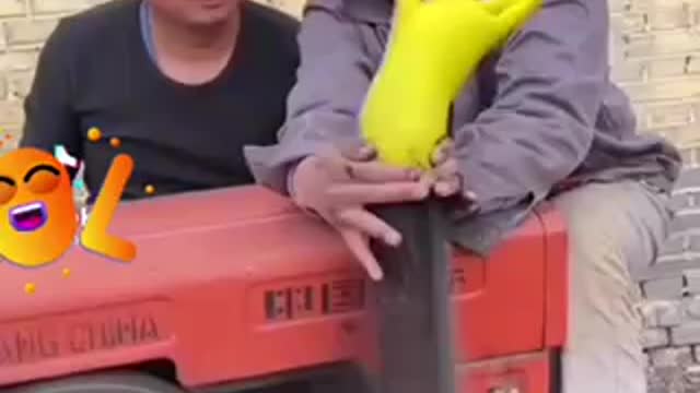 Funny Video