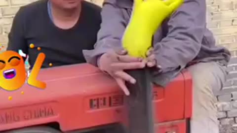 Funny Video