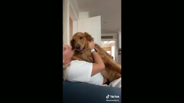 Woman Hugging and Chatting With Dogs - Tiktok Dogs (Funny Animals #350)