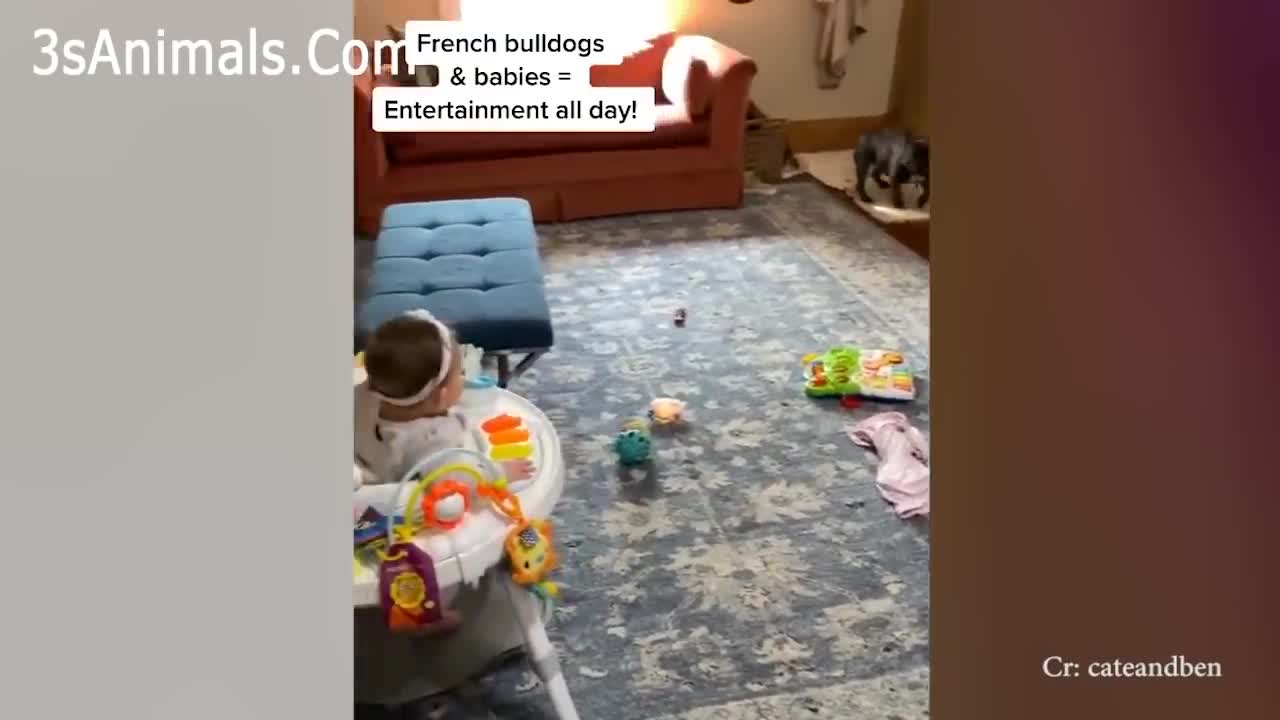 Adorable Puppies Love Babies Compilation 😍 A Cute Puppy 🐶and Baby👶