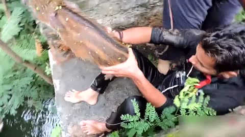 Animals That Asked People for Help & Kindness - Best Of 2023 !
