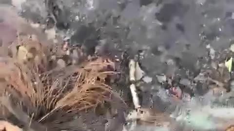 Ukraine,The death Trap of Russian Soldiers