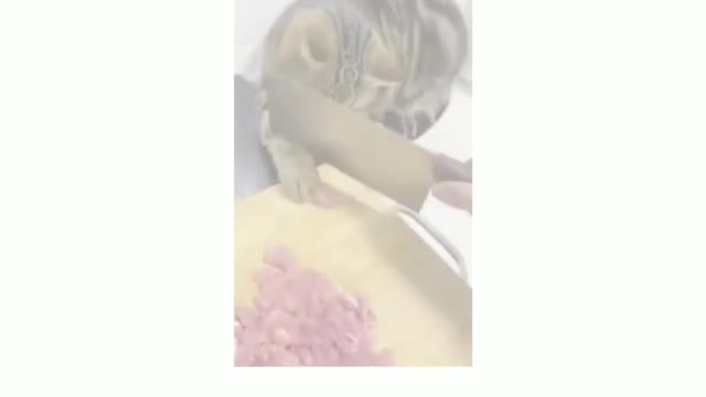 funny cat