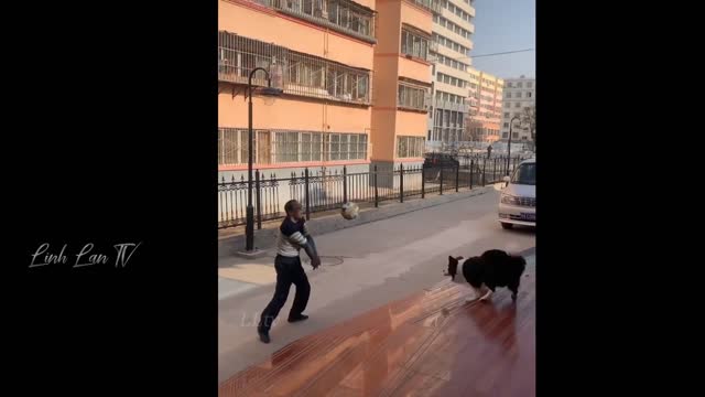 A Little Bit Funny Compilation 😂