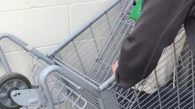 Girl rides down ramp in shopping cart and crashes into wall