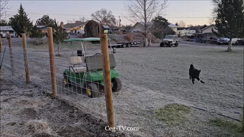 Graham Family Farm: 7:25 AM December 9th 2024