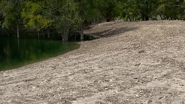 Recreational POND and Lampasas