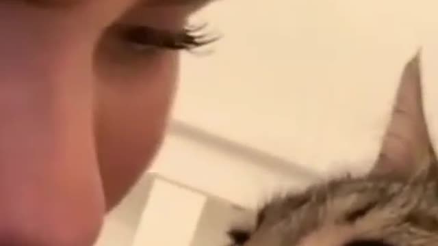 What' doing kitty