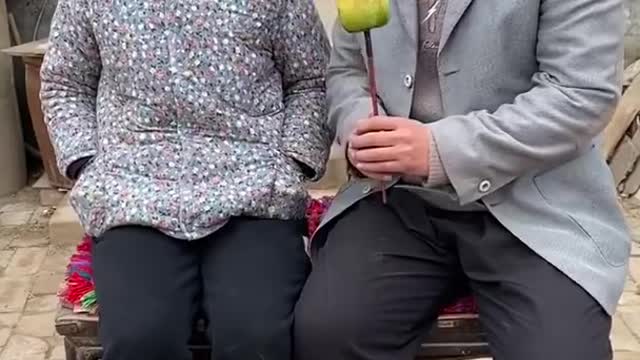 Funny videos