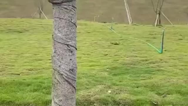 Funny videos 2022, Chinese funny video #short