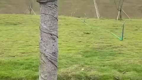 Funny videos 2022, Chinese funny video #short