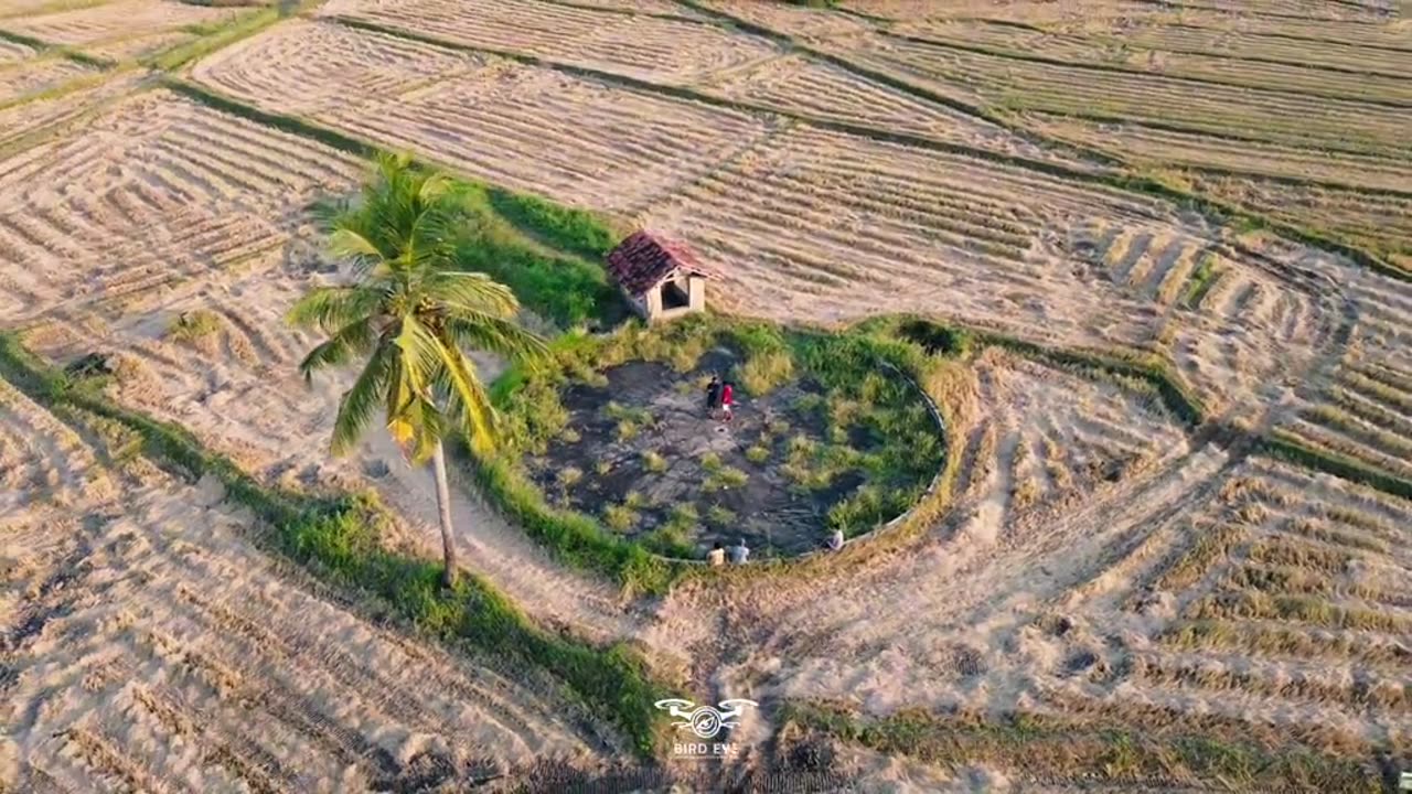 The Village 🌿🍀 | Polonnaruwa Sri Lanka | Beautiful Country in the World