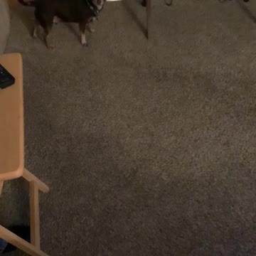 Dropping of the old CK kaner