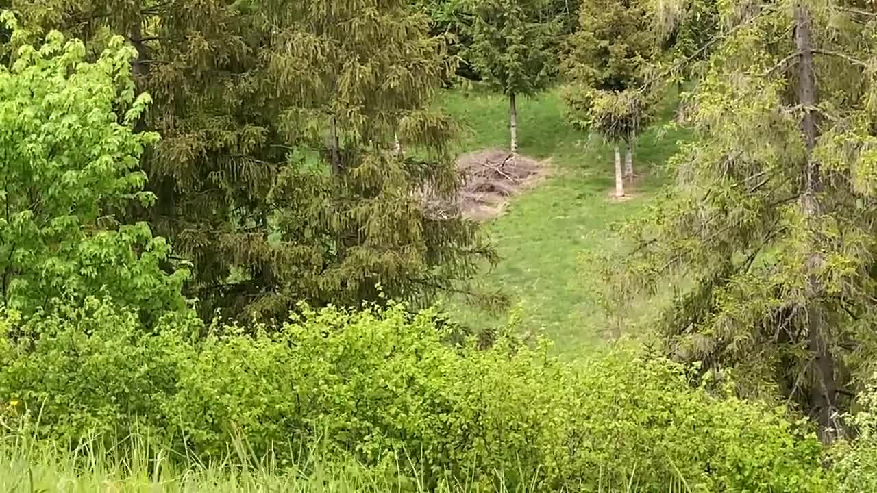 HIKE WITH ME