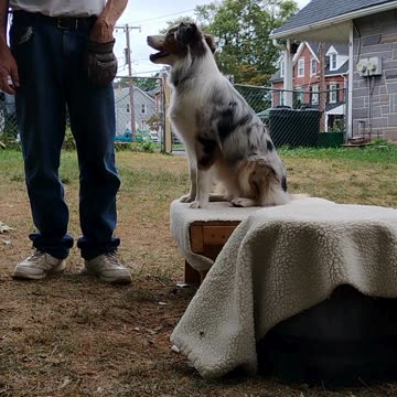 Platform and Barrel work introduction to the upside-down barrel 3