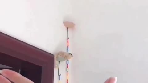 Flying Towards You is Trust #shorts #viral #shortsvideo #video