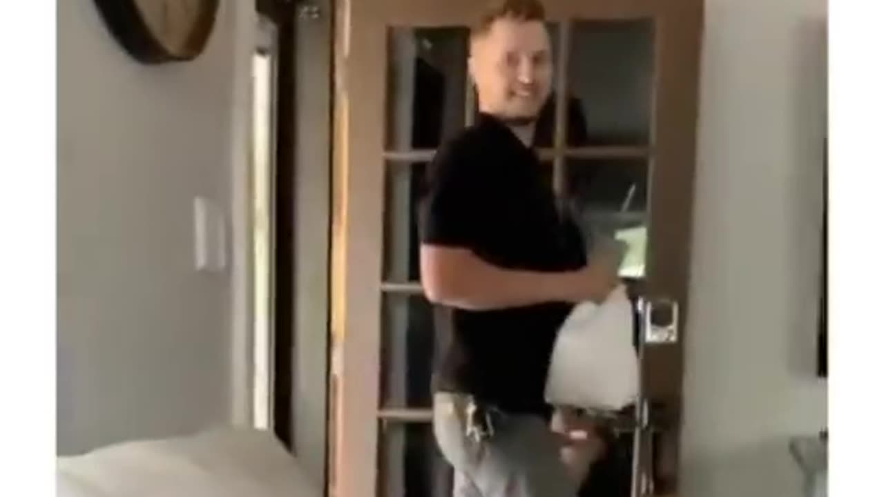 Adorable dogs video