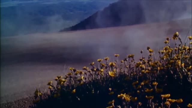 Pikes Peak Climb Dance 1988