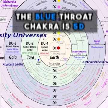 STAR SEEDS✨Levels of Ourselves✨