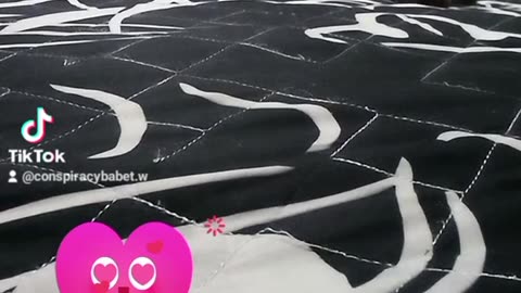 TESLA MY LOVE CHILLING