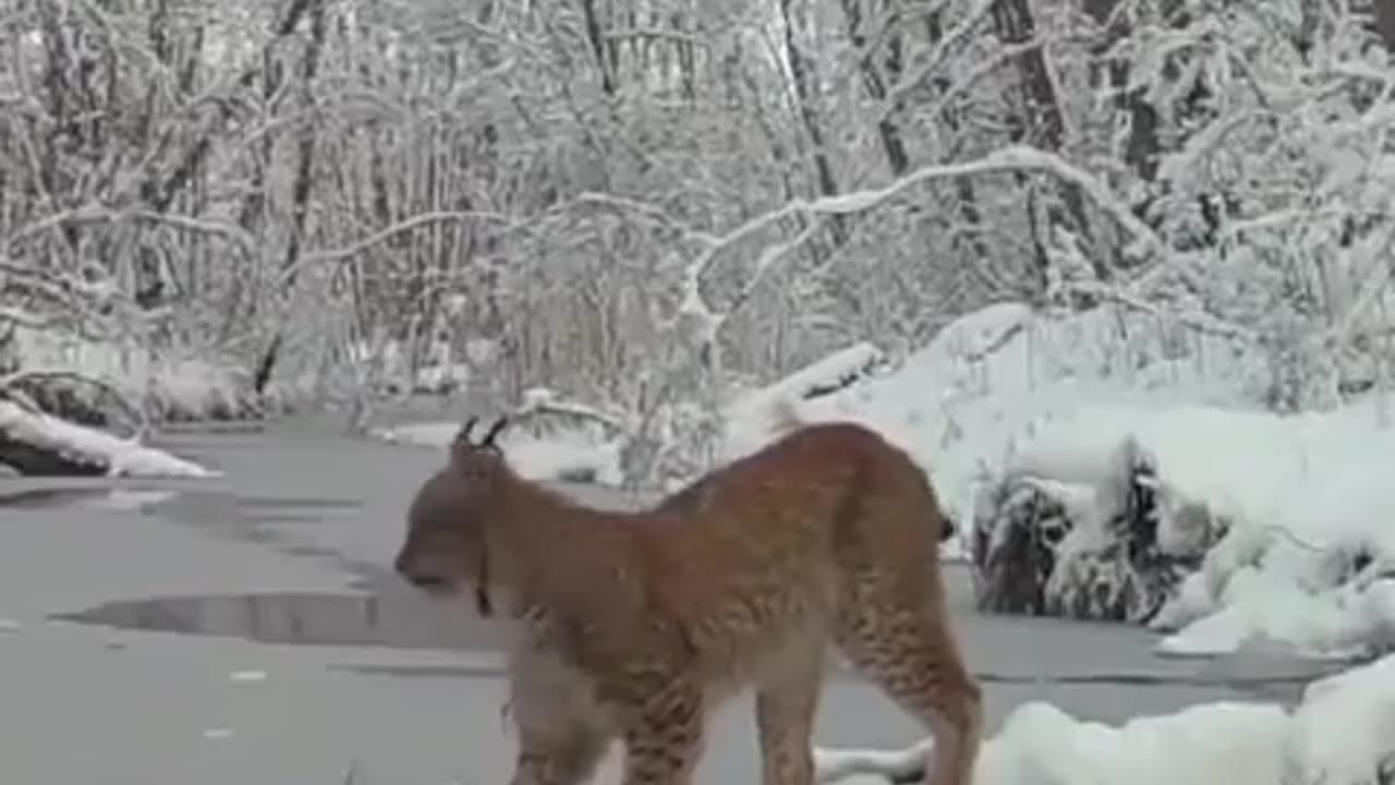 Ok 😲😲